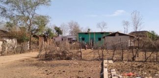 Kota Gunjapur village in the Panna district of Madhya Pradesh has no electricity since independence. In 2017, the villagers thought their dreams would see the light of the day when electricity poles were ported to their village. But four years later, those poles are still lying there. Photo by Ramvishal Gond.