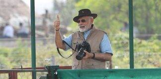 Prime Minister Narendra Modi poses after opening the quarantine enclosure's door to release the cheetahs at Kuno National Park in Madhya Pradesh. (Via PM's Office)