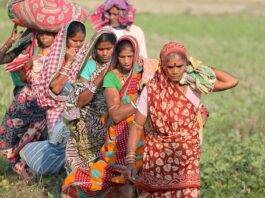 A group of female workers crossing an agricultural field/ image for representational purposes only