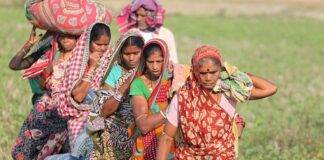 A group of female workers crossing an agricultural field/ image for representational purposes only