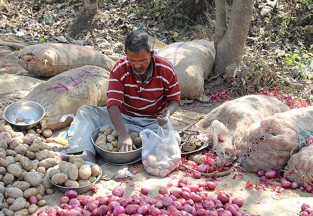 Street vendor