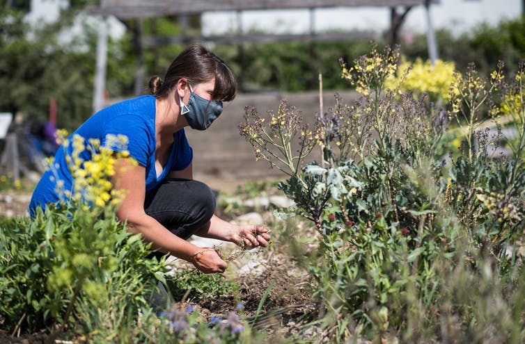 GARDEN IN HARD TIMES