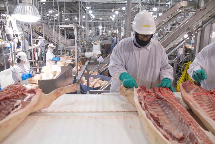 Workers in a pork processing plant, 2016. USGAO/Wikipedia