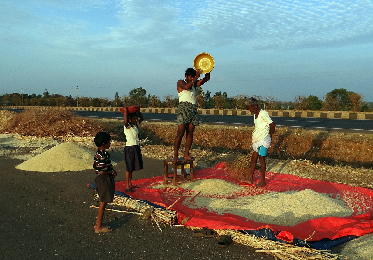 Farmers are working in the field.