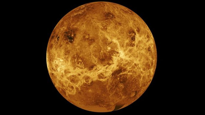 VENUS
