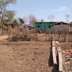 Kota Gunjapur village in the Panna district of Madhya Pradesh has no electricity since independence. In 2017, the villagers thought their dreams would see the light of the day when electricity poles were ported to their village. But four years later, those poles are still lying there. Photo by Ramvishal Gond.