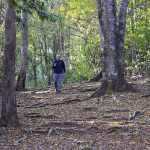 Bittu Sahgal started the publication Sanctuary Asia in 1981, after being involved with India’s tiger conservation efforts in the 1970s. Photo from Sanctuary Nature Foundation.