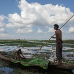 The Maguri beel in upper Assam has been the main source of food and sustenance for the people who live around it. Photo by Jitendra Raj Bajracharya/ICIMOD.