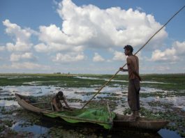 The Maguri beel in upper Assam has been the main source of food and sustenance for the people who live around it. Photo by Jitendra Raj Bajracharya/ICIMOD.