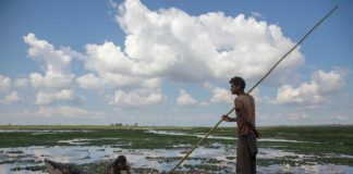 The Maguri beel in upper Assam has been the main source of food and sustenance for the people who live around it. Photo by Jitendra Raj Bajracharya/ICIMOD.